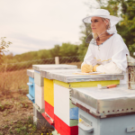 can beekeepers go on extended vacations