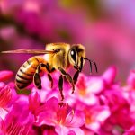azaleas and honey bees