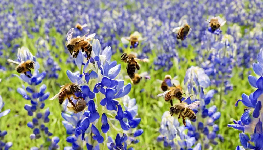 bee population decline addressed
