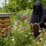 beekeeping and communicating with bees about death