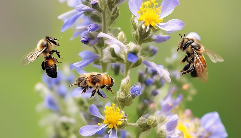 bees and pollination importance