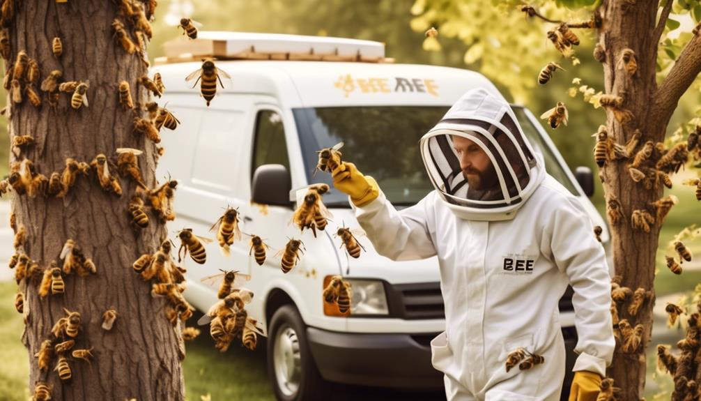 expert bee control and removal