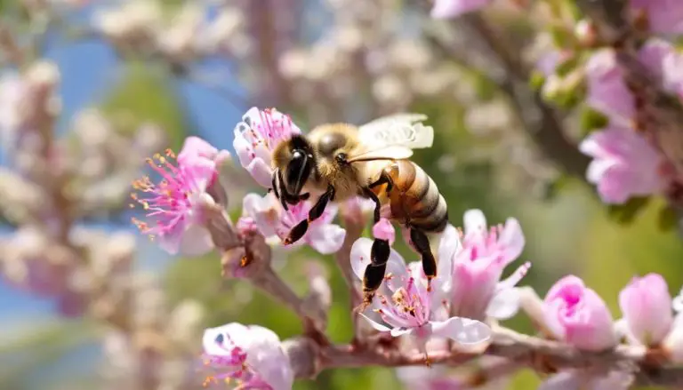 manuka honey from bee production