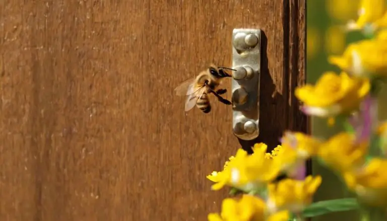 persistent bees near entrance