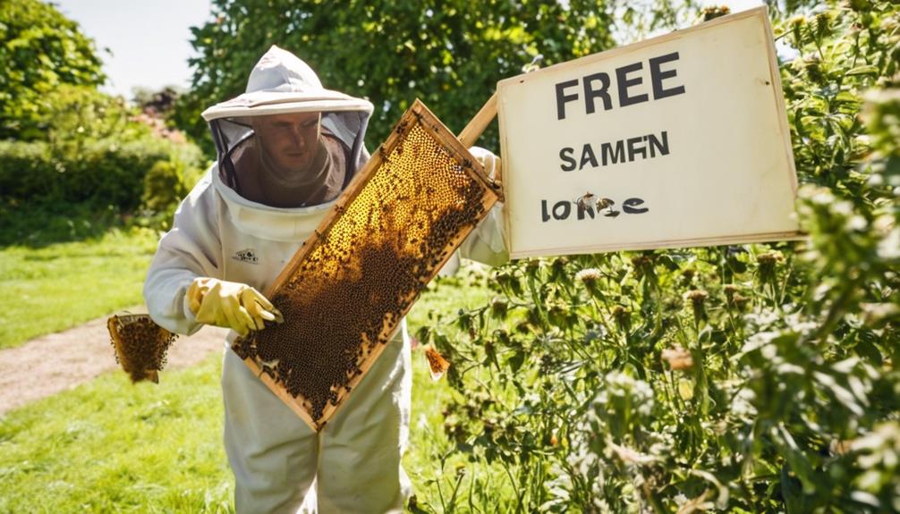 removing bees without harming